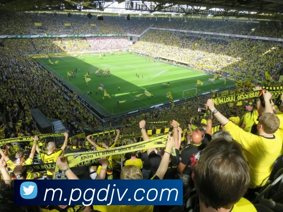 新葡京娱乐城发展历程